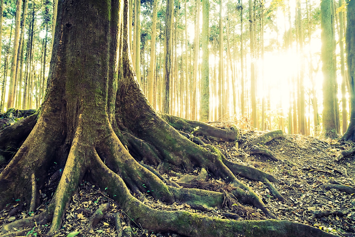 6 Dinge, die ich nach der Pandemie beibehalten möchte