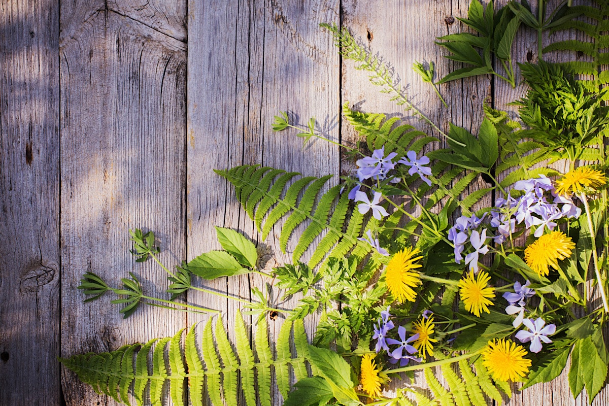 Yin Yoga im Frühling: Hüftöffner für den Neubeginn