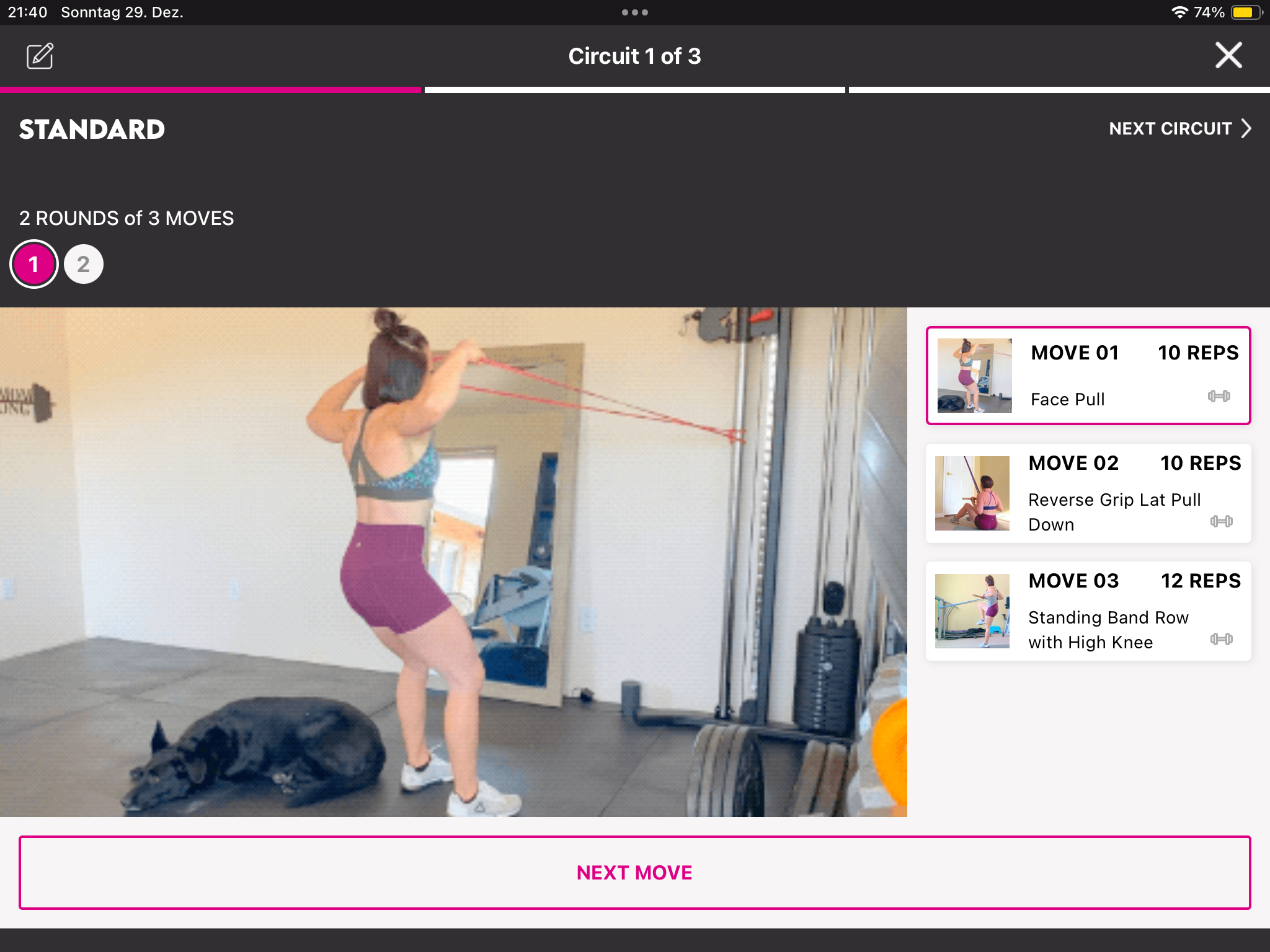 Eine Frau, stark wie eine Mutter, trainiert in einem Fitnessstudio mit Widerstandsbändern. Sie führt einen Face Pull durch, während ihr schwarzer Hund daneben liegt.